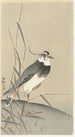 Vanneau et roseau - Ohara Koson — Ansicht des Kunstwerks