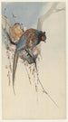 a couple of pheasants and a plum blossom - Ohara Koson — artwork view