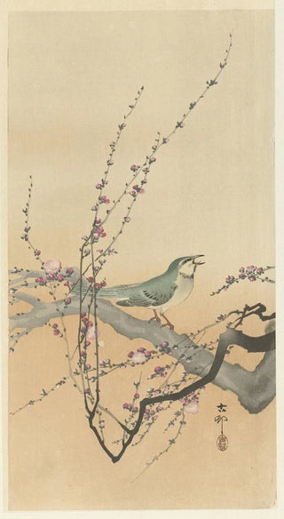 Ohara Koson - Songbird and plum blossom.webp