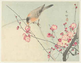 Ohara Koson - Songbird on blossom branch.webp