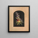 Ancre e fiori n°1 - Olive E. Whitney — quadro incorniciato alla parete