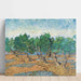 Reproduktion des Gemäldes Olivenhain - Vincent Van Gogh