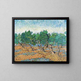 Oliveraie - Vincent Van Gogh