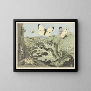 Oluf August Hermansen - Cabbage butterflies.webp