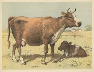 Vache - Oluf August Hermansen — vista dell’opera