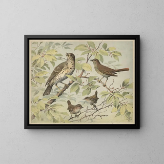 Oluf August Hermansen - Thrush nightingale and wren.webp