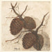 Oranges on a Branch - Sientje Mesdag Van Houten — displayed in an interior