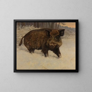 Sanglier dans la neige - Otto Fikentscher — gerahmtes Bild an der Wand