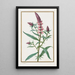 Untitled Painting - Pancrace Bessa — framed artwork on a wall