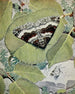 La Cidarie Moirée - Paul-André Robert — Ansicht des Kunstwerks