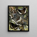 Woodland Grayling by Paul-André Robert — framed natural history art print on a wall