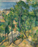 Vista sul mare a L'Estaque - Paul Cézanne — vista dell’opera