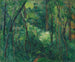 Interno di una foresta - Paul Cézanne — vista dell’opera