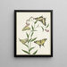 Vier Schmetterlinge auf Blumen - Paulus Knogh — gerahmtes Bild an der Wand