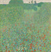 Poppy in Bloom Poppy Field - Gustav Klimt — artwork view