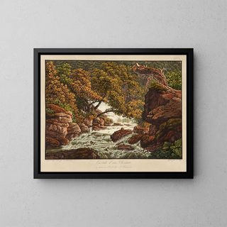 Peter Birmann - Cascade deau Chesant.webp