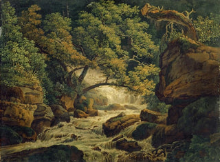 Peter Birmann - Waterfall Chesant Waterfall of the Birs.webp