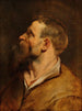 Testa di uomo barbuto - Peter Paul Rubens — vista dell’opera