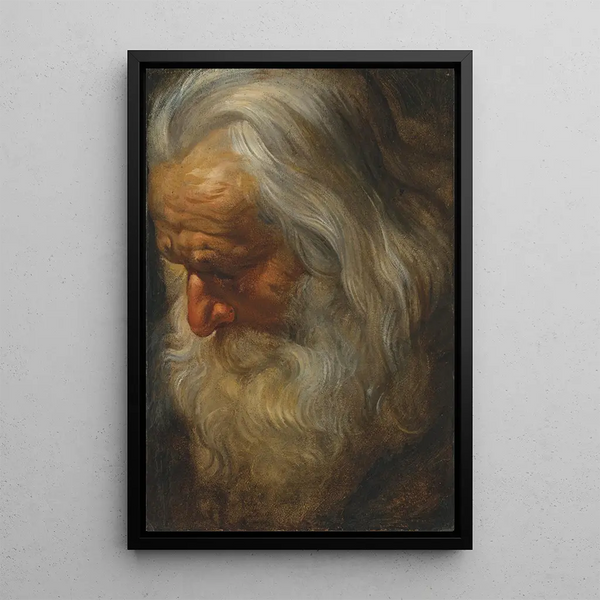 Study of an Old Bearded Man - Peter Paul Rubens — framed artwork on a wall