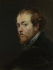 Il pittore Pierre Paul Rubens - Peter Paul Rubens — vista dell’opera
