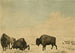 Jagd auf Bisons - Peter Rindisbacher — Ansicht des Kunstwerks