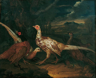 Philipp Ferdinand de Hamilton - Fasane.webp