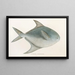 Fauna japonica Pl078 - Philipp Franz Balthasar von Siebold — framed artwork on a wall