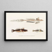 Faune japonaise Pl094 - Philipp Franz Balthasar von Siebold — gerahmtes Bild an der Wand