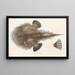 Faune japonaise Pl095 - Philipp Franz Balthasar von Siebold — framed artwork on a wall