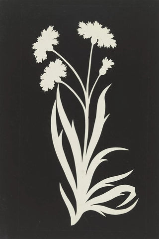 Philipp Otto Runge - Cornflower.webp