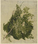 Buisson à fleurs blanches - Philipp Rumpf — Ansicht des Kunstwerks