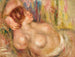 Donna nuda addormentata - Pierre-Auguste Renoir — vista dell’opera
