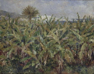 PierreAuguste Renoir - Field of Banana Trees.webp