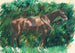 Ein Pferd - Pierre-Auguste Renoir — Ansicht des Kunstwerks