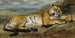 Tigre al riposo - Pierre Andrieu — vista dell’opera