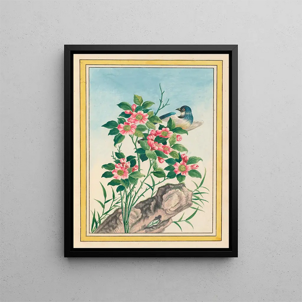 Pierre Joseph Buchoz - Plantes de Chine Pl006.webp