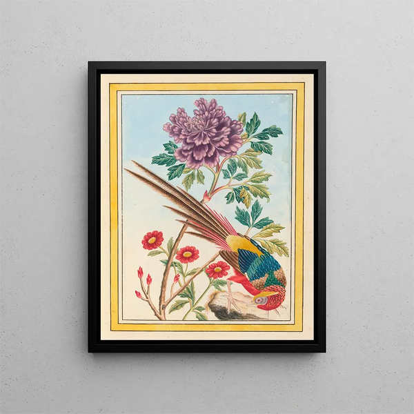 Pierre Joseph Buchoz - Plantes de Chine Pl011.webp