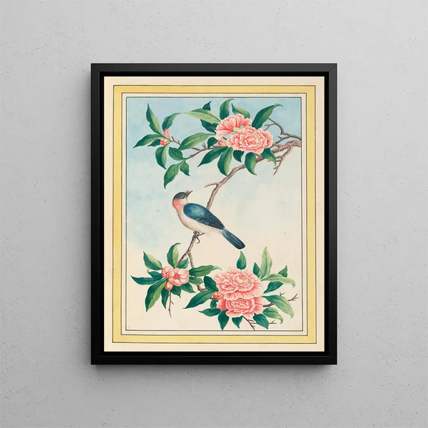 Pierre Joseph Buchoz - Plantes de Chine Pl014.webp