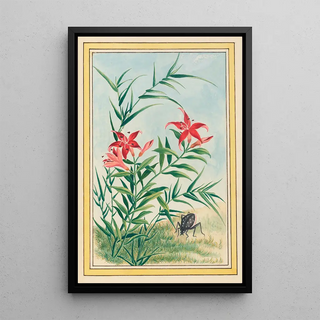 Pierre Joseph Buchoz - Plantes de Chine Pl035.webp