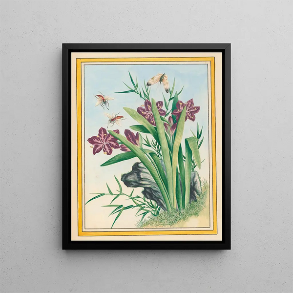 Pierre Joseph Buchoz - Plantes de Chine Pl036.webp