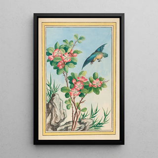 Pierre Joseph Buchoz - Plantes de Chine Pl045.webp