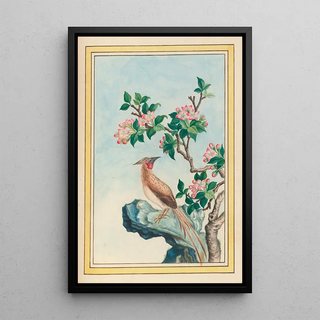 Pierre Joseph Buchoz - Plantes de Chine Pl048.webp