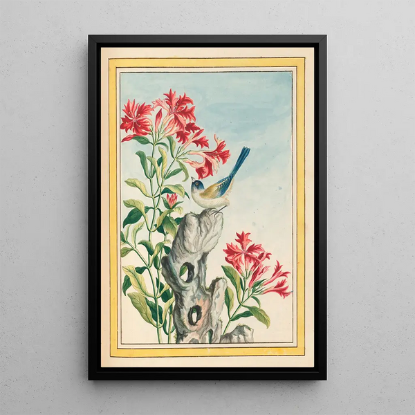 Pierre Joseph Buchoz - Plantes de Chine Pl055.webp
