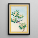 Plantes de Chine Pl064 - Pierre Joseph Buchoz — quadro incorniciato alla parete