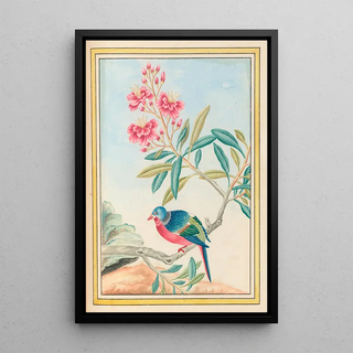 Pierre Joseph Buchoz - Plantes de Chine Pl072.webp