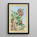 Plants of China Pl089 - Pierre Joseph Buchoz — framed artwork on a wall