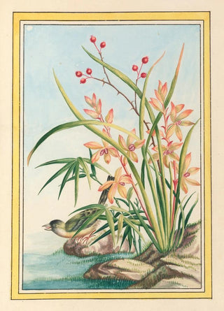 Pierre Joseph Buchoz - Plantes de Chine Pl097.webp