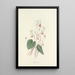 Choice of the Most Beautiful Flowers pl 029 - Pierre Joseph Redouté — framed artwork on a wall