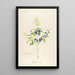 Description of rare cultivated plants at Malmaison and Navarre Pl51 - Pierre Joseph Redouté — framed artwork on a wall