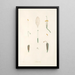 La botanique de J J Rousseau Pl 02 - Pierre Joseph Redouté — framed artwork on a wall